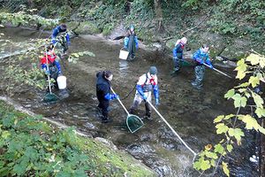 Échantillonnage des poissons à la rivière Wigger. (Photo: EPFL)