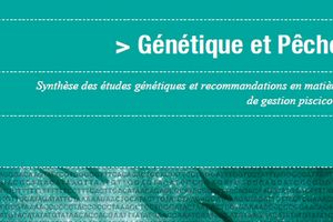 Nouvelle publication de l'OFEV Génétique et pêche