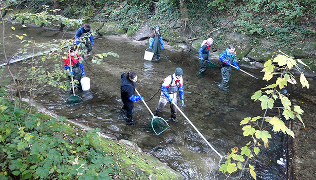 Abfischen an der Wigger im Rahmen des Projekts. (Foto: EPFL) 